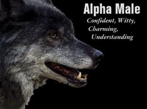 Pin By Robert Brown On Quotes Wolf Alpha Male Quotes Lone Wolf