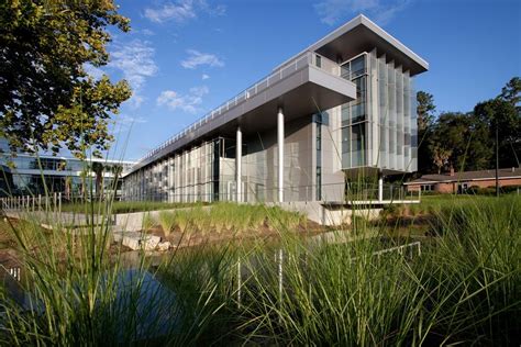 Biophilic Architecture Building Better Buildings For Happier