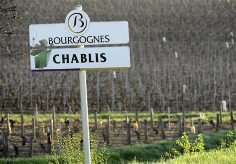 Siliconeer No Chablis Burgundy Winemakers Up In Arms Over Proposed
