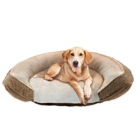 Pawslife Orthopedic Step In 45 Inch X 34 Inch Pet Bed Read More At