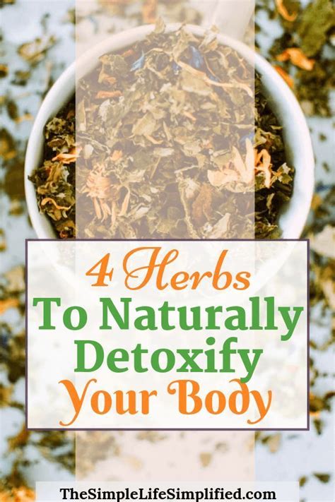 How To Detoxify Your Body Naturally With Herbs The Simple Life