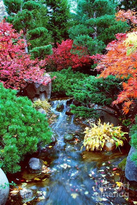 Autumn Garden Waterfall I Photograph By Nancy Mueller Pixels