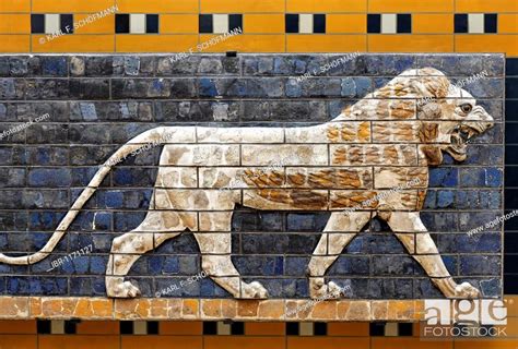 Lion Brick Relief Of The Babylonian Ishtar Gate Archeological Museum