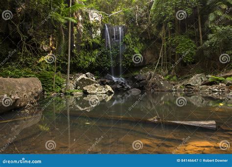 Curtis Falls Waterfall In Mount Tambourine Stock Image Image Of Falls
