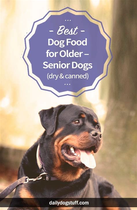 Best Dog Food For Older Senior Dogs Dry And Canned Dog Food