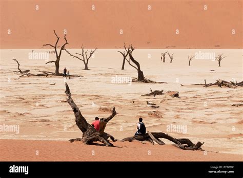 Deadvlei Namibia Tourists Sand Dunes And Dead Trees In The Namib