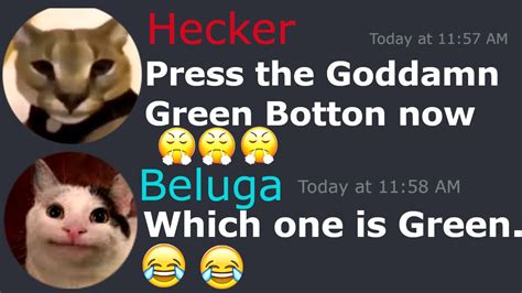 Beluga And Hecker Rob Youtube