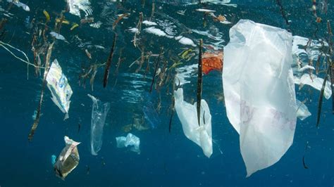 The Great Pacific Garbage Patch Is Now So Big That It Grew Its Own