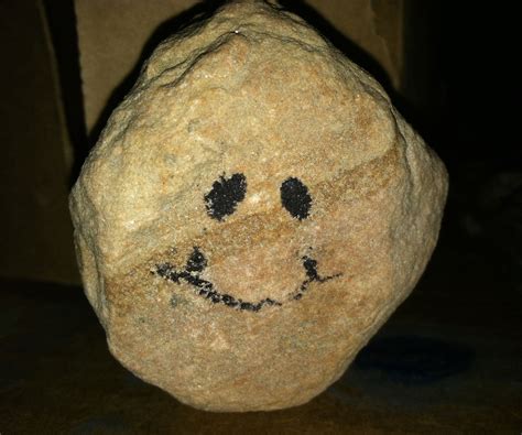 Guide to Pet Rocks: Part 2 : 5 Steps - Instructables