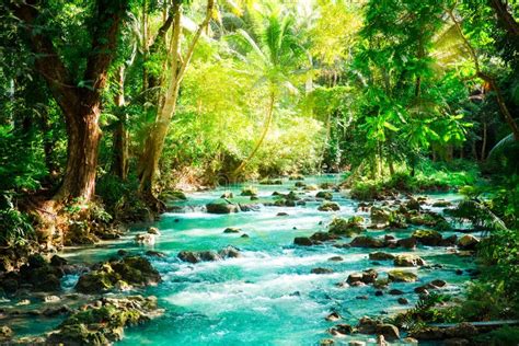 River In A Mountain Gorge In The Tropical Jungle Of The Philippines