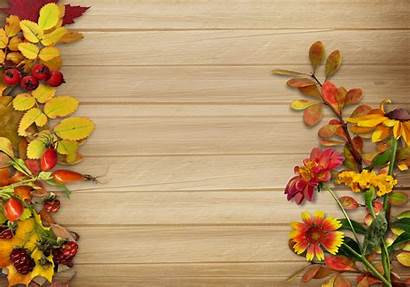 Fall Background Flower Backgrounds Autumn Flowers Leaves