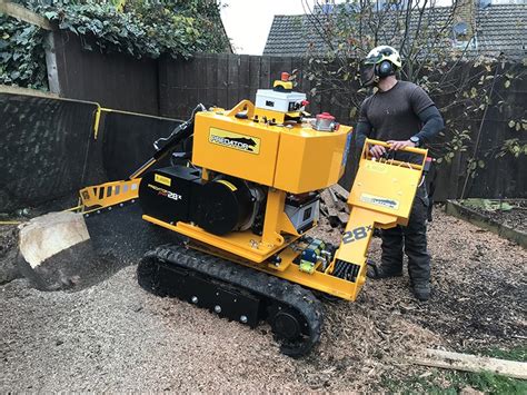 A Guide To Stump Grinding