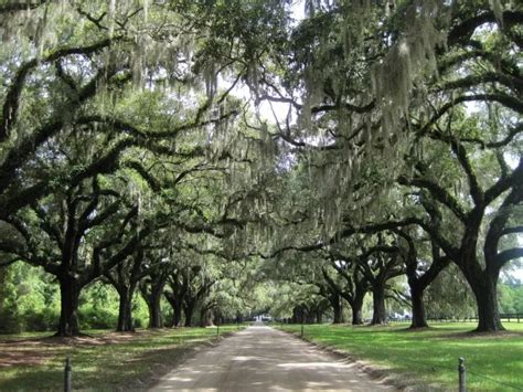 Nicholas Sparks Filming Locations The Notebook Enchanted Serendipity