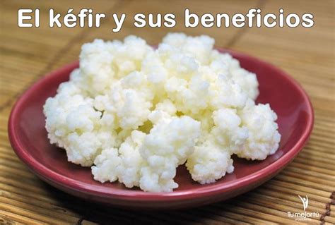 Beneficios Y Propiedades Del Kéfir Un Probiótico Natural único