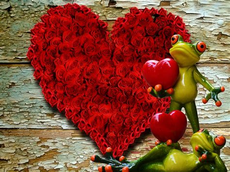 รูปภาพ ปลูก ดอกไม้ น่ารัก ความรัก หัวใจ อาหาร สีแดง ผลิต ฤดู