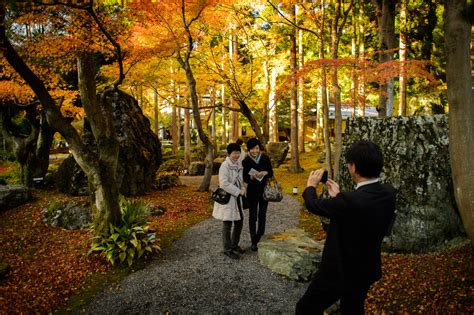 Jeffrey Friedls Blog A “wigglegram” From The Garden At Kyotos