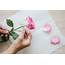 How To Harvest And Dry Rose Petals
