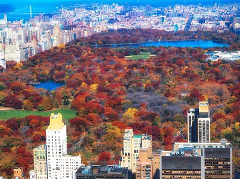 Nycs Central Park Dressed In Peak Fall Foliage 🍂🍁🍂 Whats