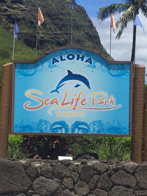Sea Life Park Hawaii Sea Life Aloha Hawaii Neon Signs Park Parks