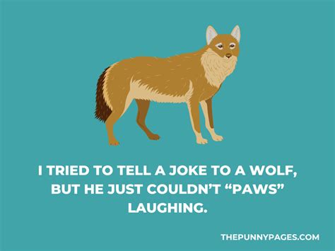 100 Funny Wolf Jokes And Puns