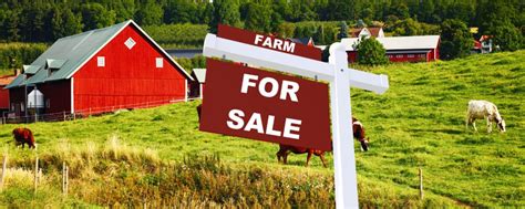 Things To Consider When Buying A Farm Farm Grants Farm Funding