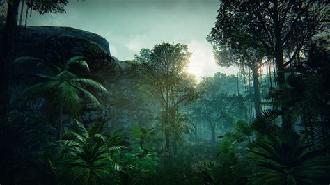 Tropical Forest In Environments Ue Marketplace