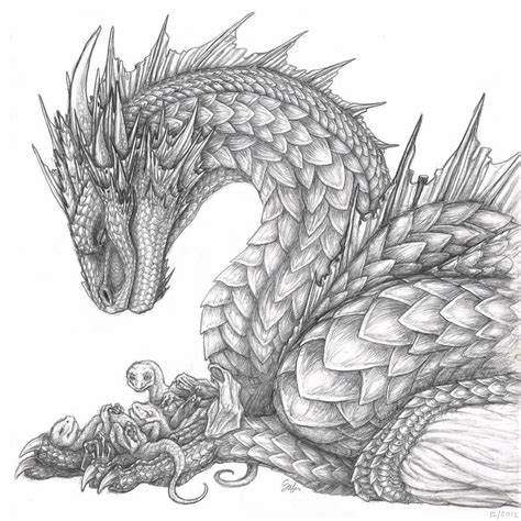 Dragon Head Drawing Dragon Artwork Dragon Tattoo For Women Dragon