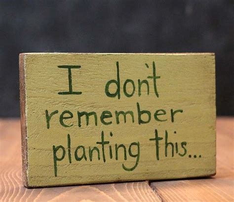 Dont Remember Planting This Hand Lettered Sign By Our Backyard Studio