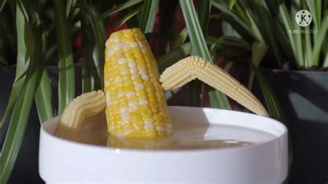 Hot Steamy Hardcore Corn Youtube