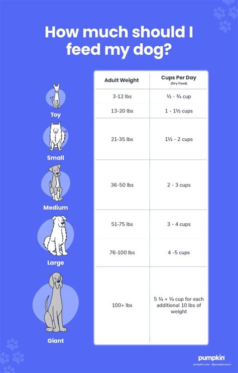 How Much To Feed Your Dog Vet Approved Chart — Pumpkin®