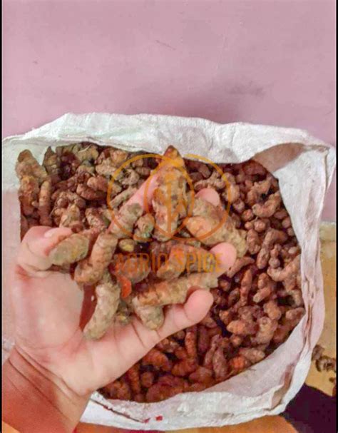 Best Turmeric Exporter And Supplier Indonesia Agrio Spice