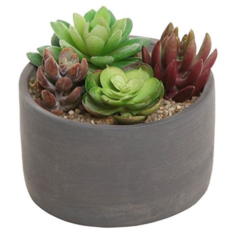 Small Modern Round Indoor Gray Cement Flower Planter Pot