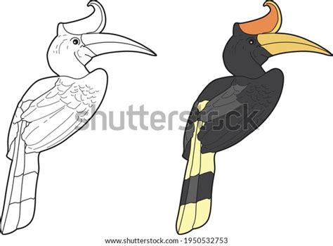 Burung Enggang Over 6 Royalty Free Licensable Stock Vectors And Vector