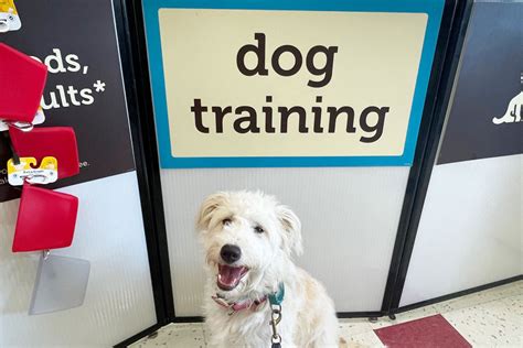 Do Sales Associates At Petco Walk The Pet Training Talk