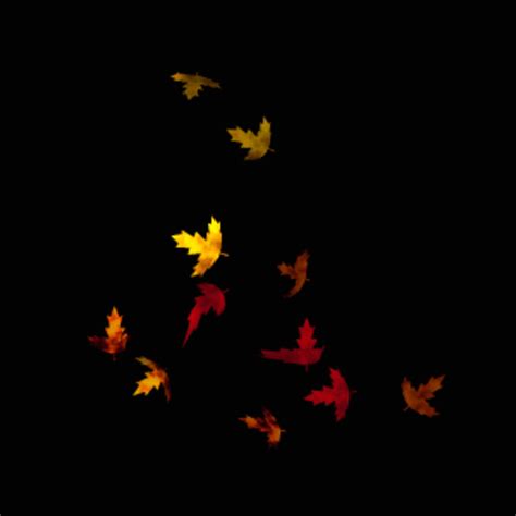Falling Leaves Animated  Images And Animations 100 Free