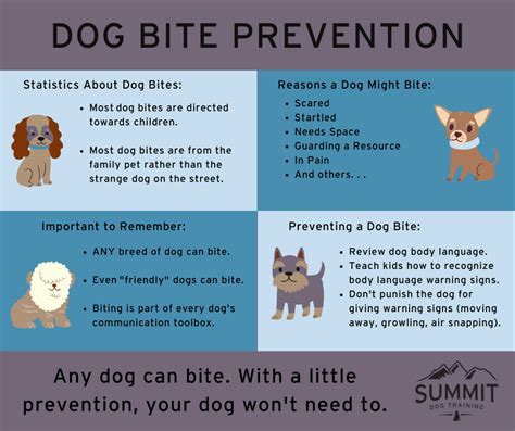 Dog Bite Prevention — Summit Dog Training