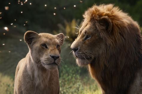 Rendering technology has advanced so much in the short time since the jungle book — to say nothing of the vastly increased amount of labor assembled to pull it off — that the lion king no longer requires audiences to pretend that the cgi. 'The Lion King' returns with stunning visual realism ...