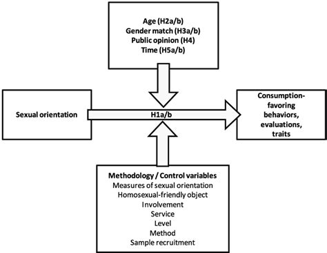 Conceptual Framework Of The Meta Analysis Download Scientific Diagram