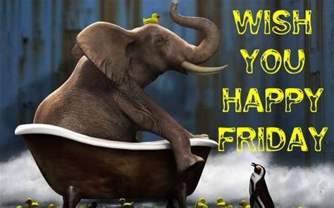 Wish You Happy Friday Elephant Animals Spirit Animal