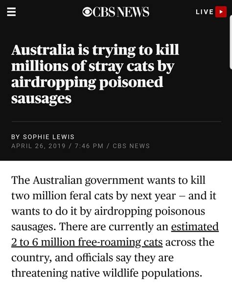 Meanwhile Down Unda Austrillia Is Trying To Kill Millions Of Stray