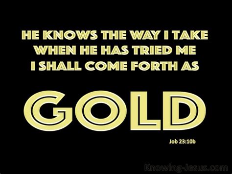 14 Bible Verses About Things Like Gold