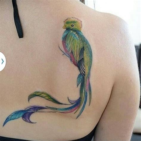 quetzal bird tattoos designs jeanagauna