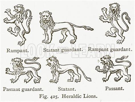 Heraldic Lions Stock Image Look And Learn