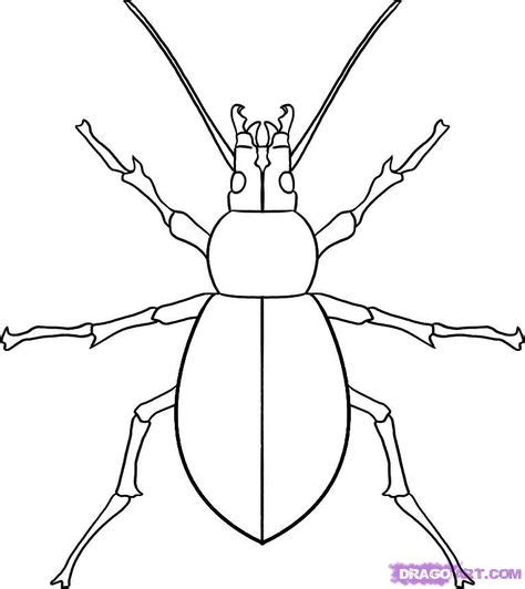 How To Draw A Beetle By Dawn Animal Drawings Beetle Drawing Drawings