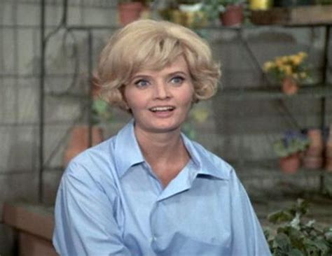 Top 7 Carol Brady Hairstyles Mullet To Flip Picture PHOTOS Top 7