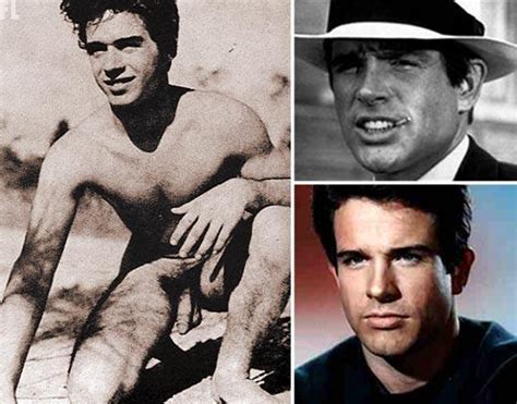 Warren Beatty Vintage Nude Male Celeb The Men Men