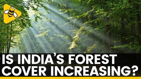 Indian State Of Forest Report 2019 Has India Increased Its Forest