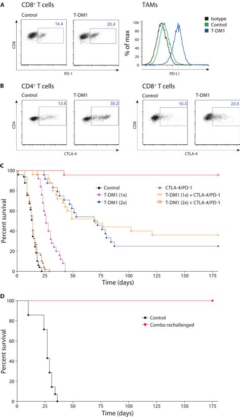 Trastuzumab Emtansine T Dm1 Renders Her2 Breast Cancer Highly