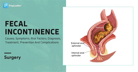 Fecal Incontinence Causes Symptoms Risk Factors Diagnosis Treatment Prevention And