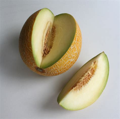 Honeydew Melon Fruit Photo 34914731 Fanpop